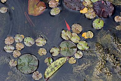 《最终幻想7：重制版》蒂法造型细节图 细节设计用心